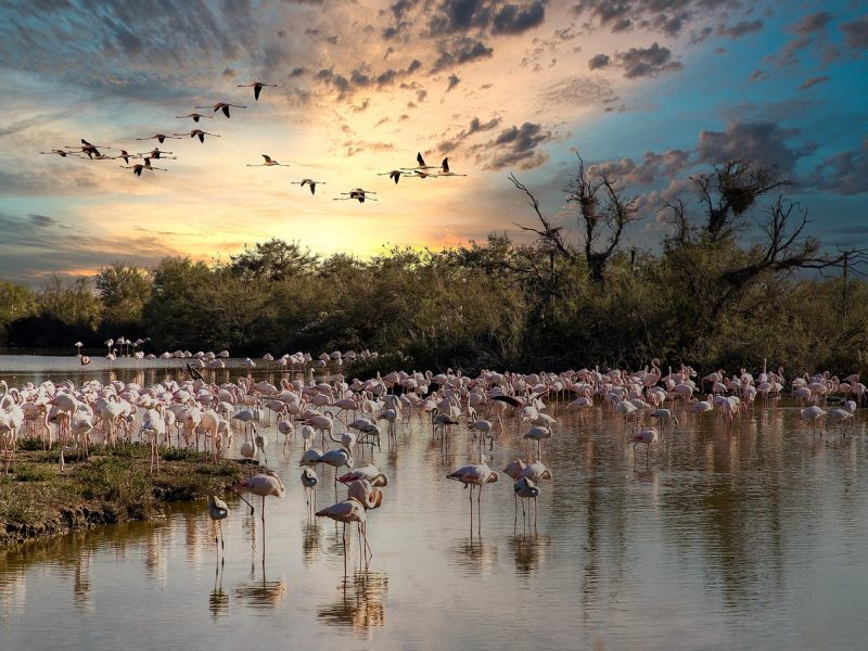 Viaggi in tutto il mondo dal 1981