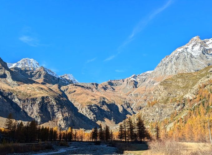 Viaggi in tutto il mondo dal 1981