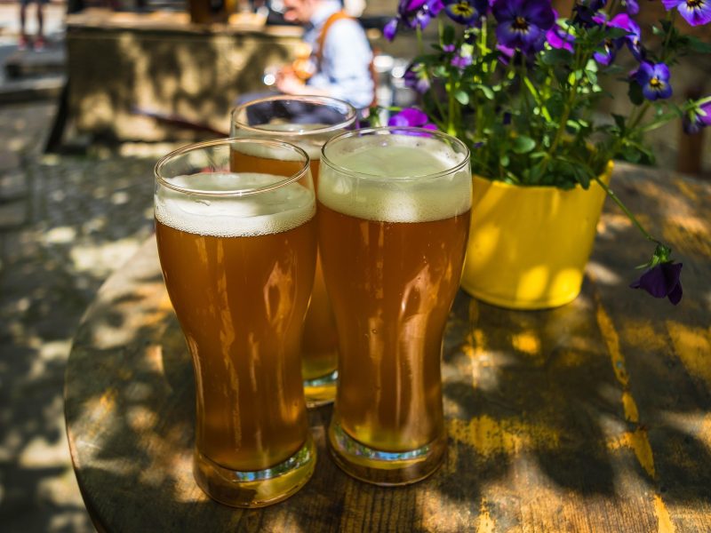 Viaggi in tutto il mondo dal 1981