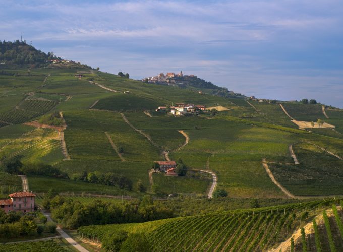 VIVI UNA CENA IN VIGNA NELLE LANGHE TRA VINI, NATURA E CUCINA TIPICA SABATO 25 LUGLIO 2026