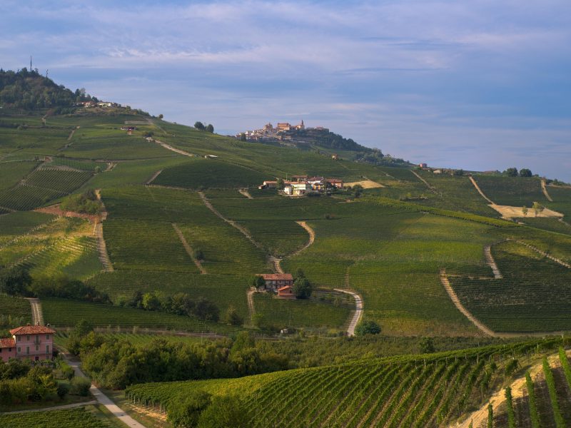 VIVI UNA CENA IN VIGNA NELLE LANGHE TRA VINI, NATURA E CUCINA TIPICA SABATO 25 LUGLIO 2026