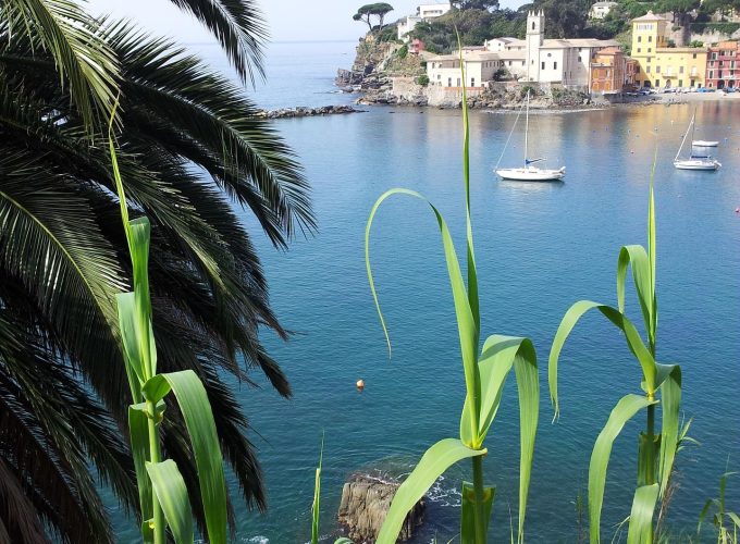 Viaggi in tutto il mondo dal 1981