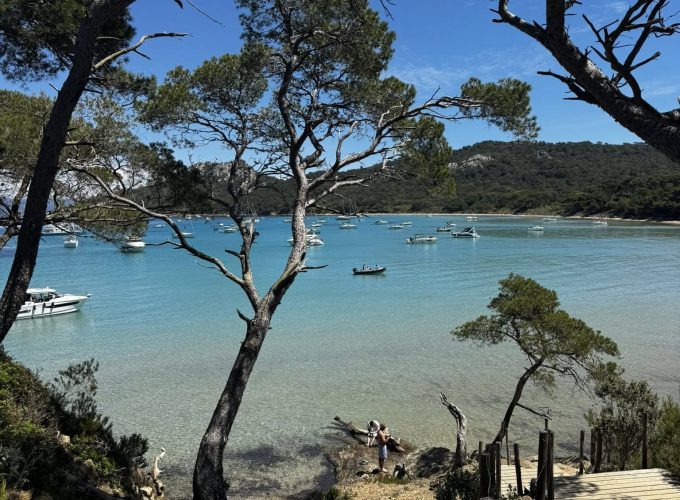 ISOLA DI PORQUEROLLES: Gita balneare alla scoperta dell’incantevole isola DOMENICA 26 LUGLIO  2026