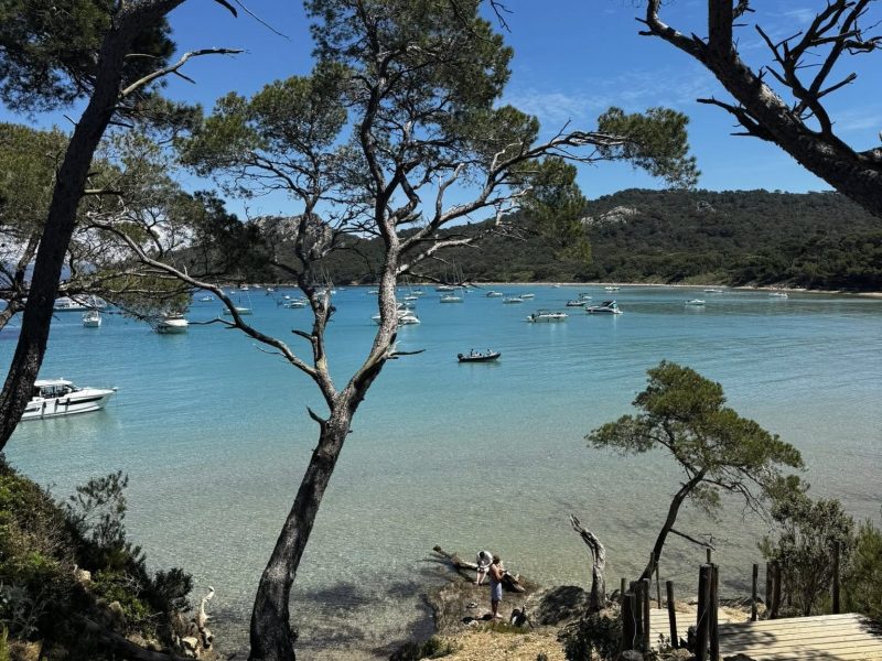 ISOLA DI PORQUEROLLES: Gita balneare alla scoperta dell’incantevole isola DOMENICA 26 LUGLIO  2026