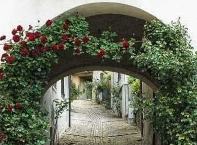 ALLA SCOPERTA DELL’ENOGASTRONOMIA DELLE LANGHE SABATO 3 OTTOBRE 2026