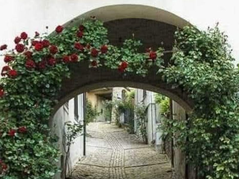 ALLA SCOPERTA DELL’ENOGASTRONOMIA DELLE LANGHE SABATO 3 OTTOBRE 2026