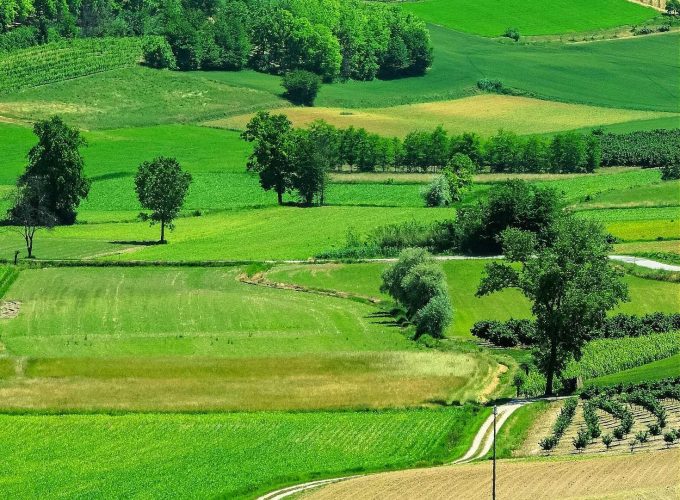 65° FESTA DEL VINO DEL MONFERRATO A CASALE MONFERRATO DOMENICA 20 SETTEMBRE 2026